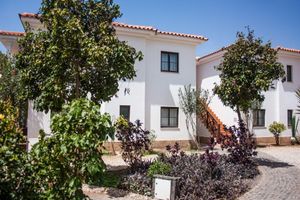 Alojamiento - AJP Holidays - Tortuga Beach Resort 487