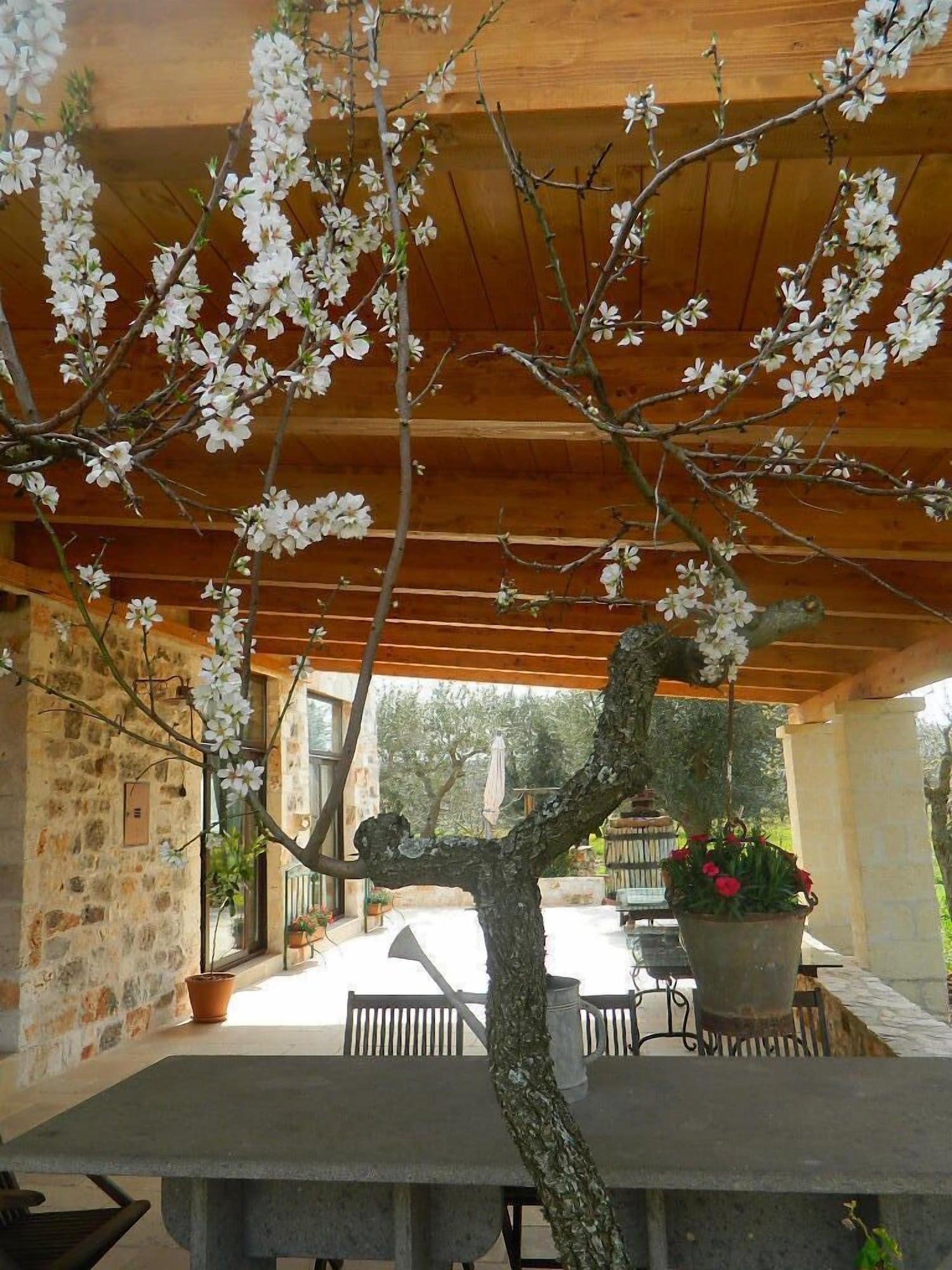 Restaurant Fontana Vecchia Bed & Breakfast