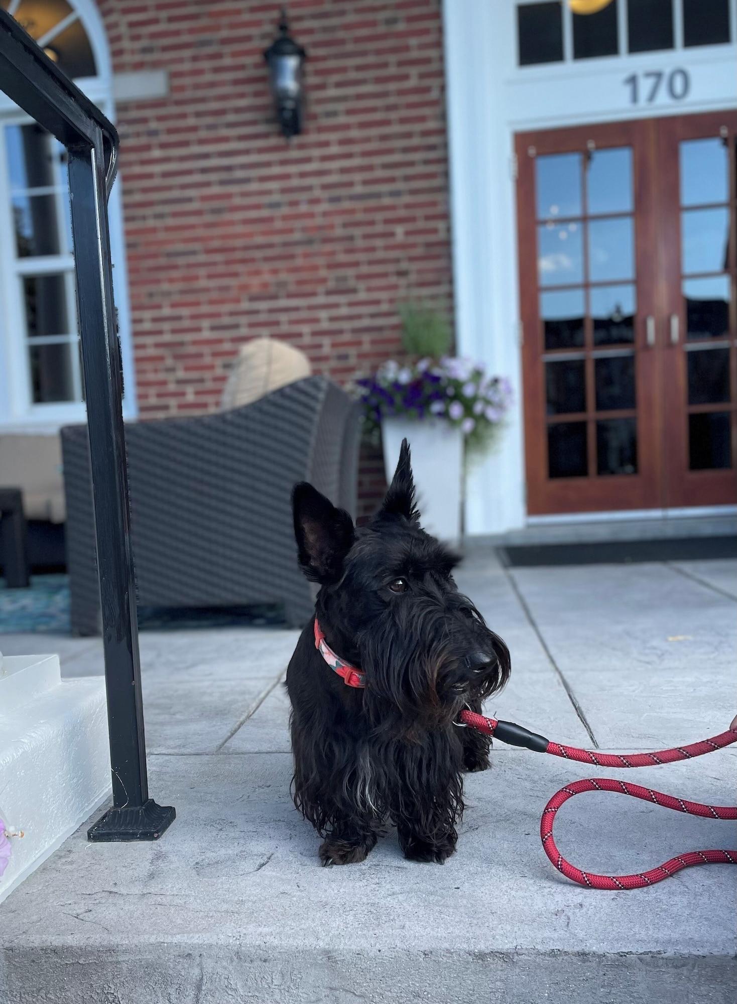 Vista Exterior The Bolling Wilson Hotel