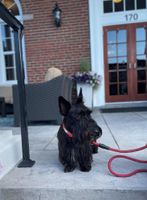 Alojamiento - The Bolling Wilson Hotel