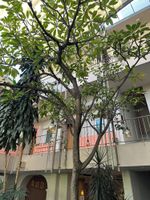 Alojamiento - Flor de Mayo Hotel & Restaurant - Adults only