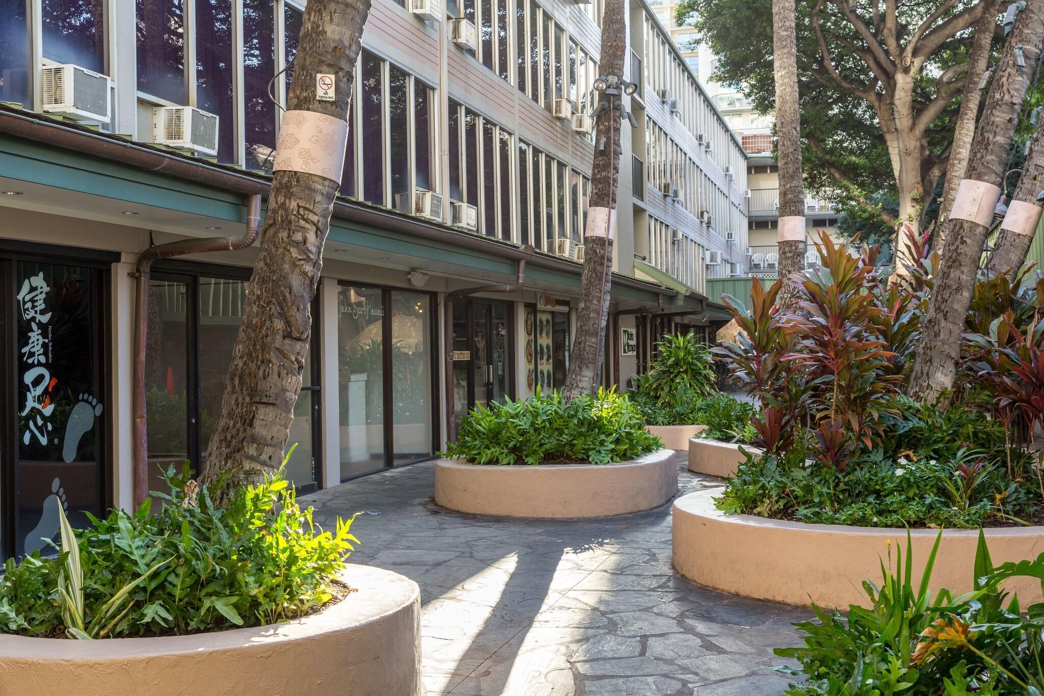 Varios Kuhio Banyan Club