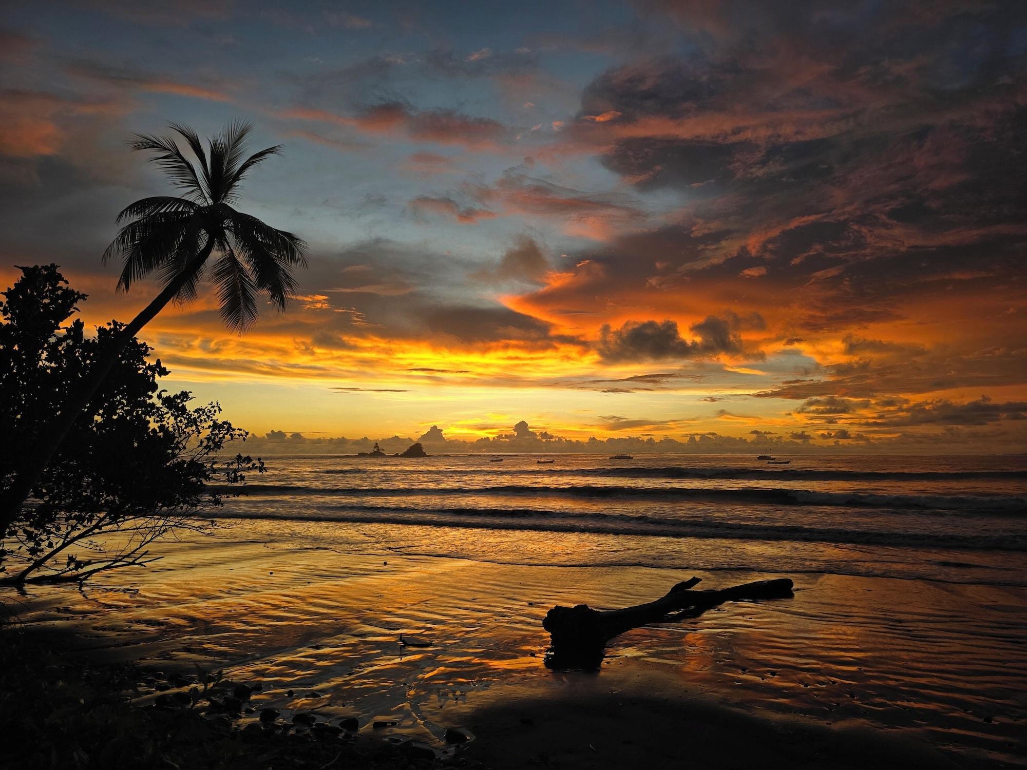 Playa Jungle River Resort - Adults Only