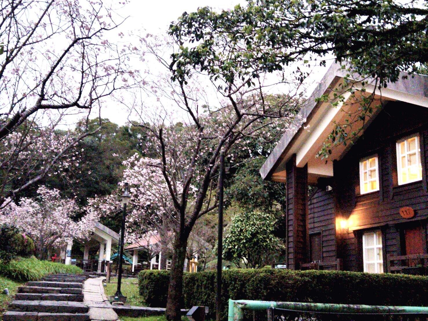 Restaurant Yanmin Hot Spring Resort