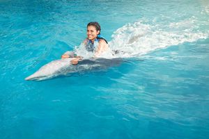 Actividad - Ocean adventures:Dolphin Swim Adventure + traslado