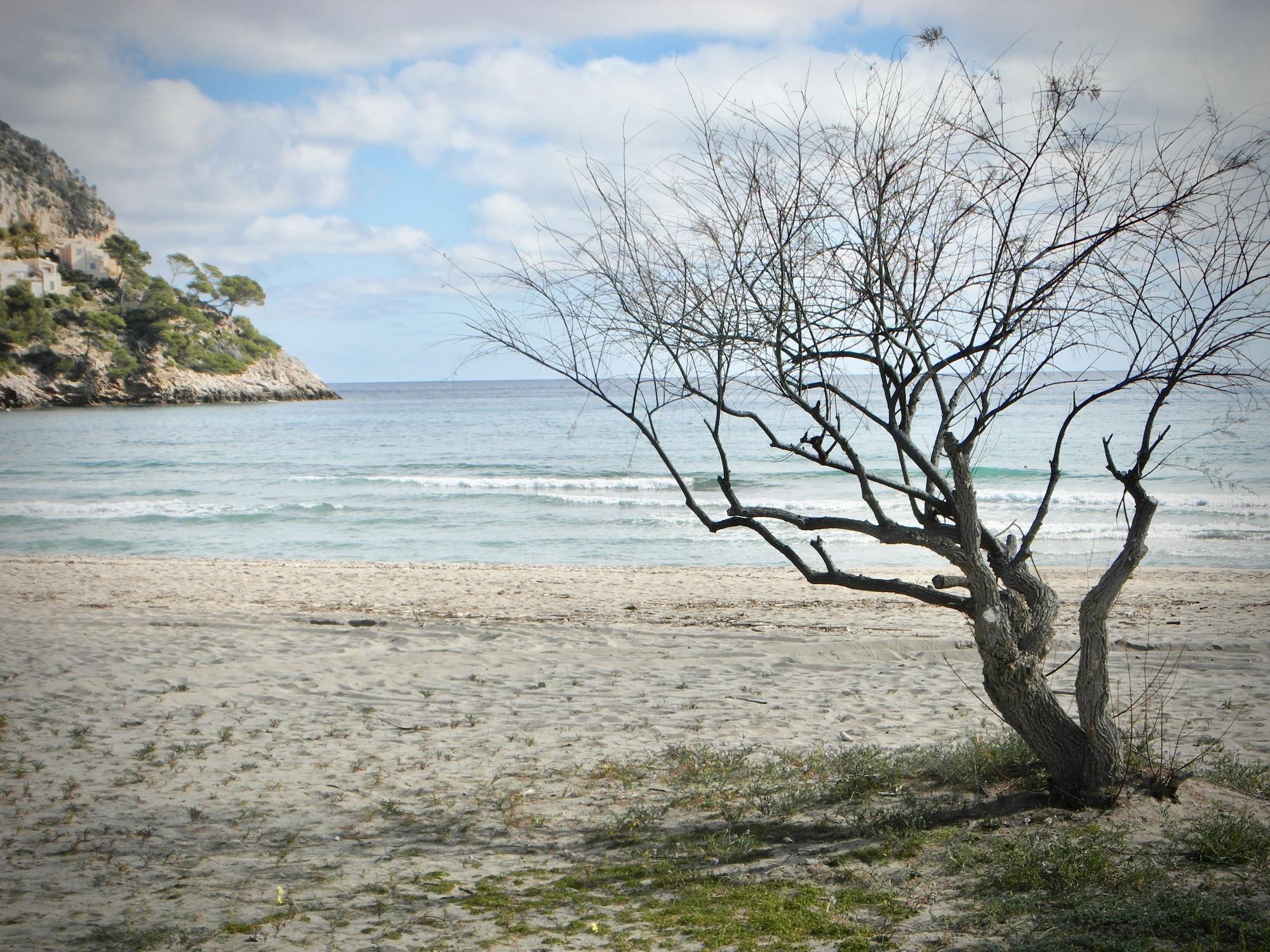 Playa Apartamentos Sureda