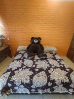 Alquiler Vacacional - Perla Negra Tapalpa cabin