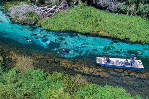 Actividad - Paseo en Bote y Sendero Naciente Río Sucuri