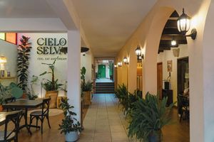 Alojamiento - Hotel Cielo y Selva, San Cristobal de las Casas