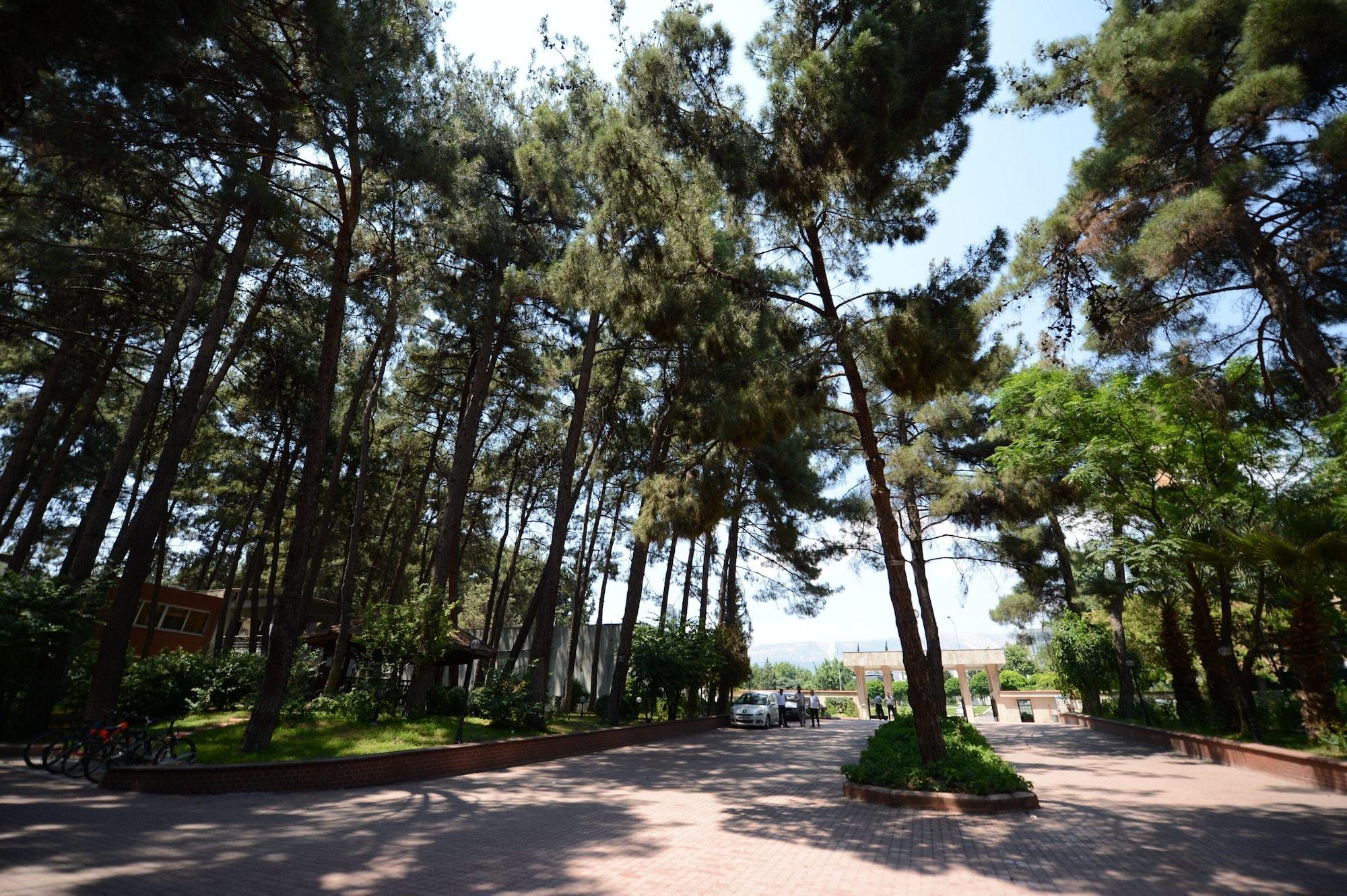 Vista Exterior Arsan Otel
