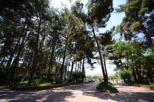 Hotel - Arsan Otel