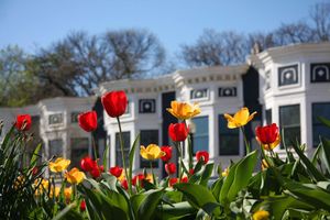 Alojamiento - Hyatt Place Washington DC/Georgetown/West End