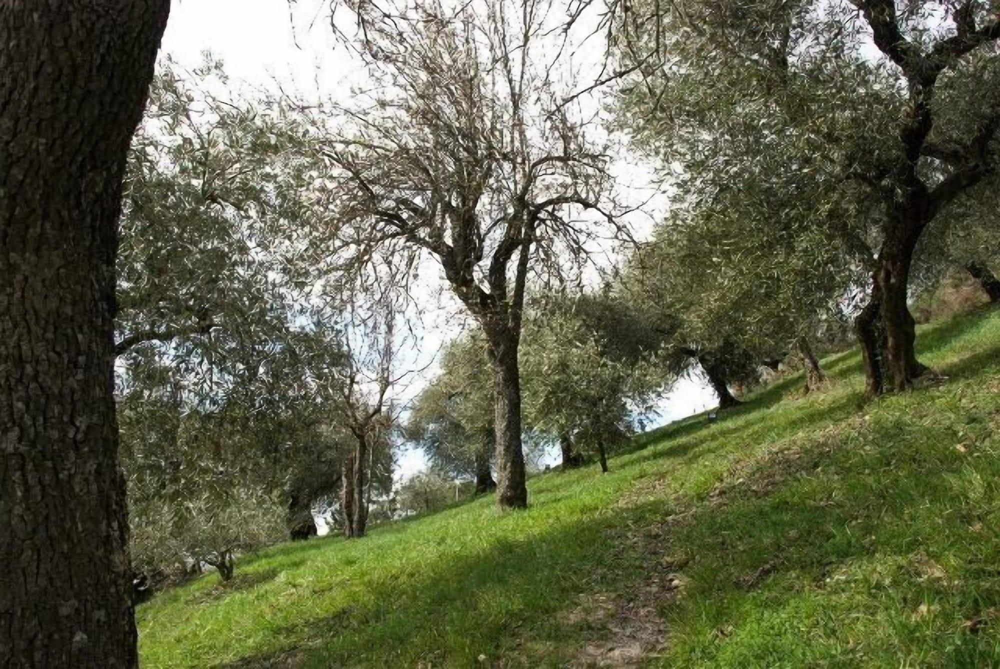 Comodidades del Alojamiento Agriturismo Le Francesche