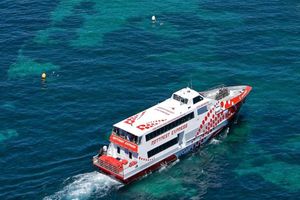 Actividad - Excursión a Rottnest Express Perth con alquiler de bicicletas