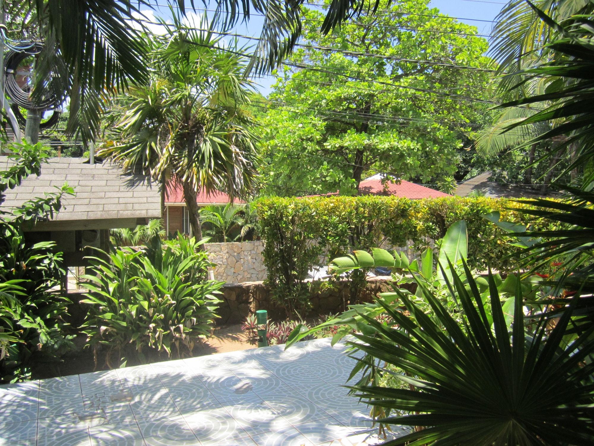 Vista Exterior Coconut Tree West End