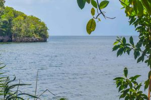 Actividad - Excursión al Parque Nacional Los Haitises y Cayo Levantado