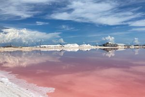Actividad - Las coloradas desde Mérida