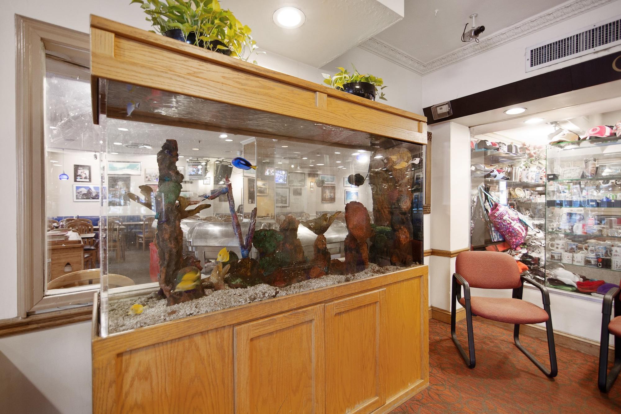 Vista Lobby Harrington