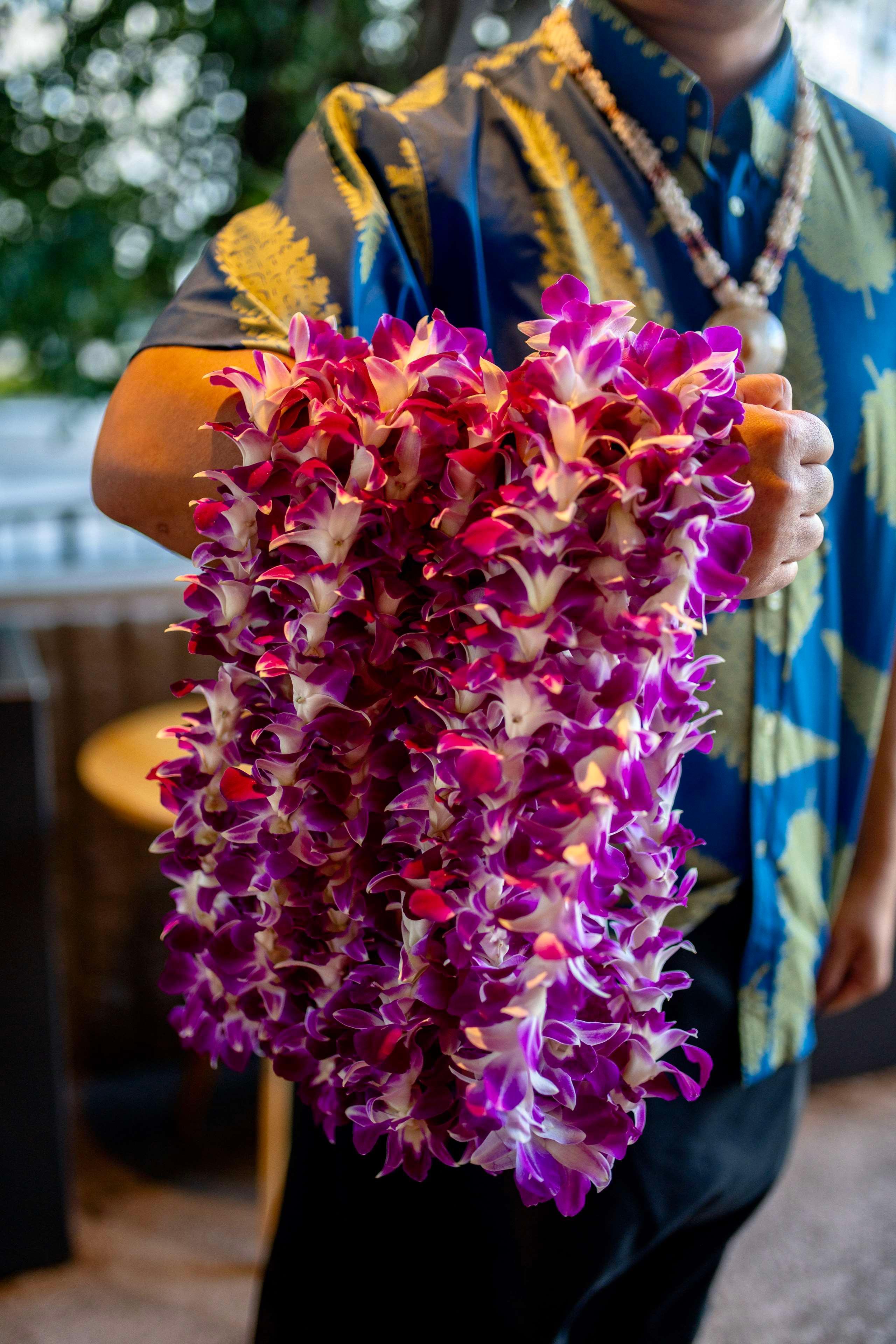 Vista Exterior Wayfinder Waikiki