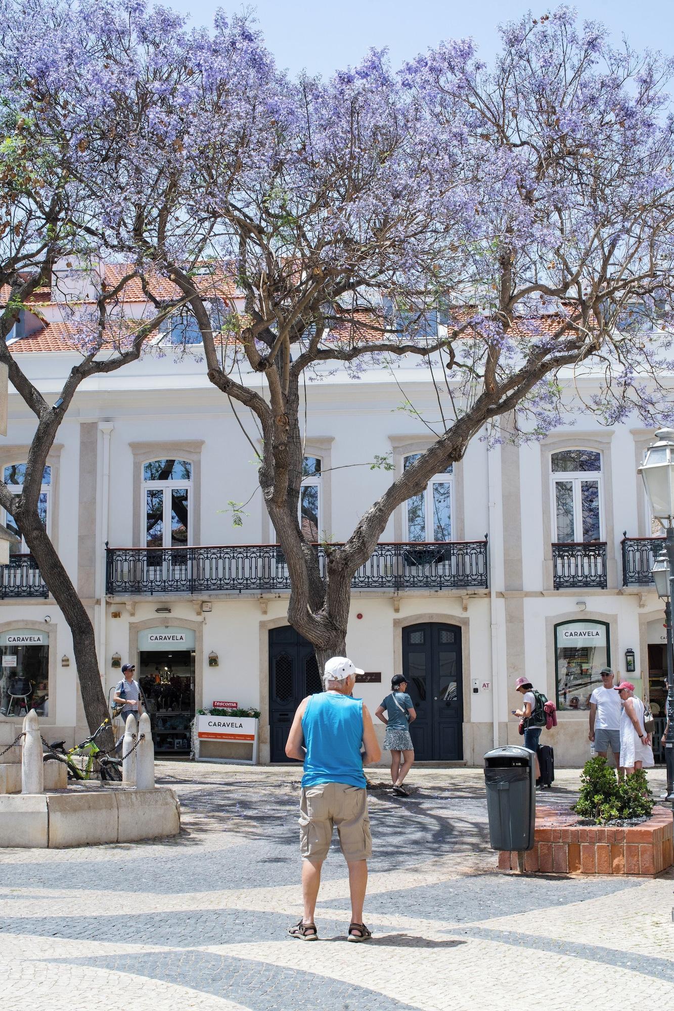 Vista Exterior Casa Margô