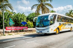 Actividad - Recorrido turístico por Aruba