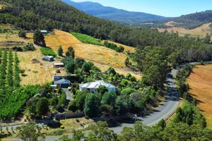 Alojamiento - Hillside Bed & Breakfast