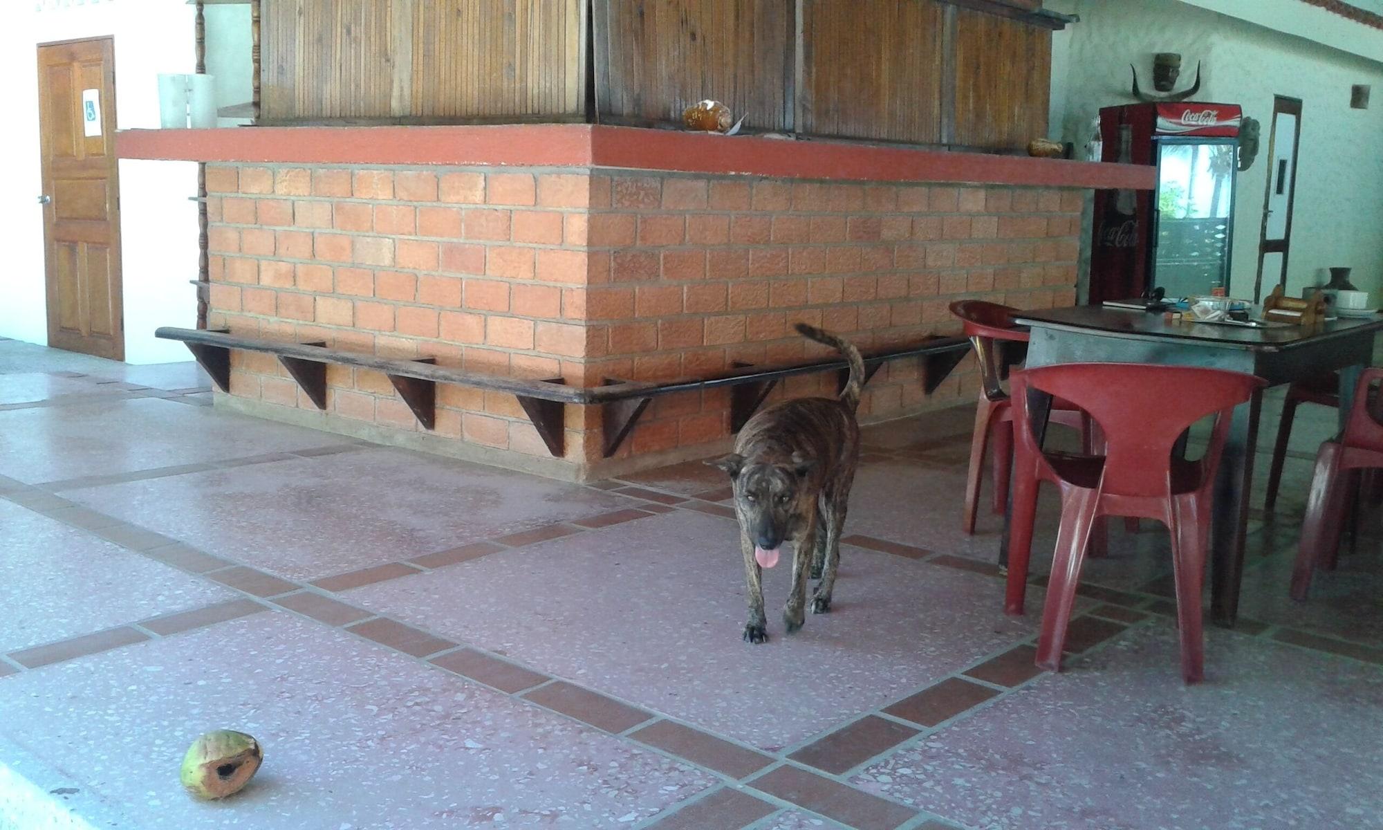 Restaurant Hotel Brisas del Pacifico