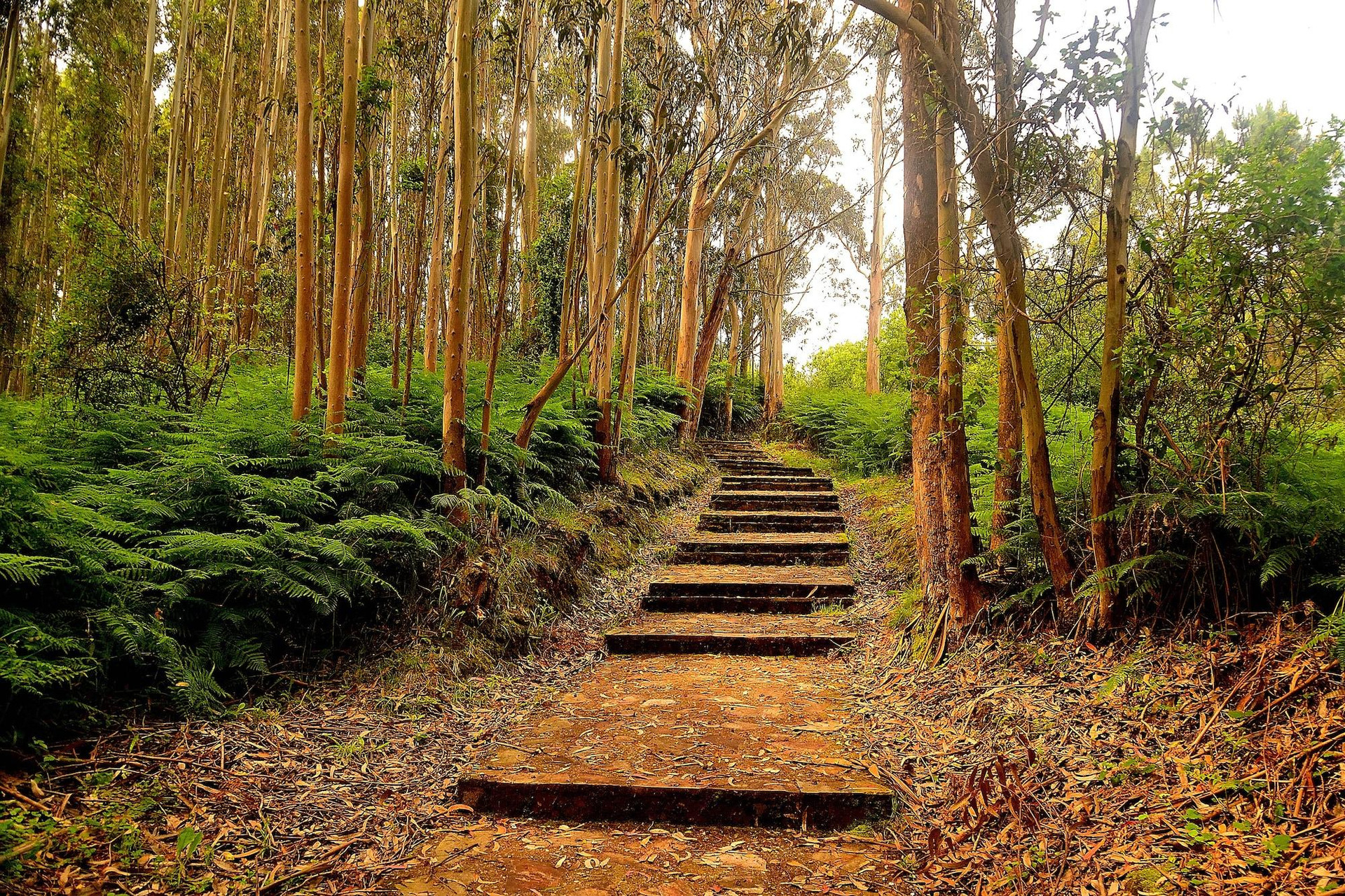 Vista Exterior Hotel La Colina