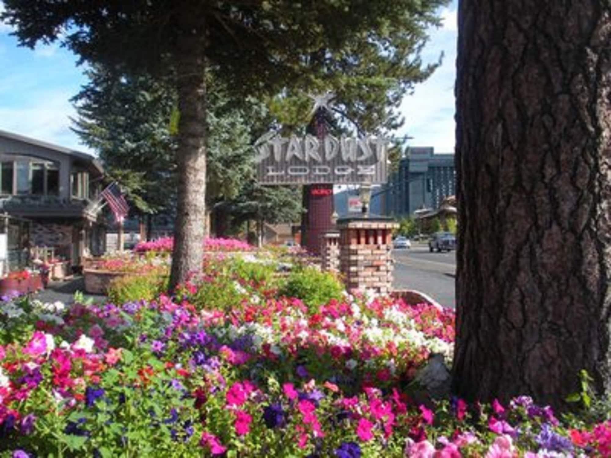 Vista Exterior Stardust Lodge