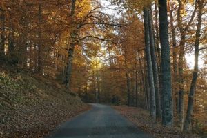 Alquiler Vacacional - Agréable Chalet Mobil-home au Pied des Pistes Calme Arboré St Leger les Mélèzes