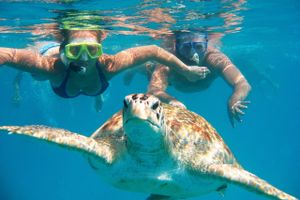 Actividad - Nadar con Tortugas - Experiencia Espectacular