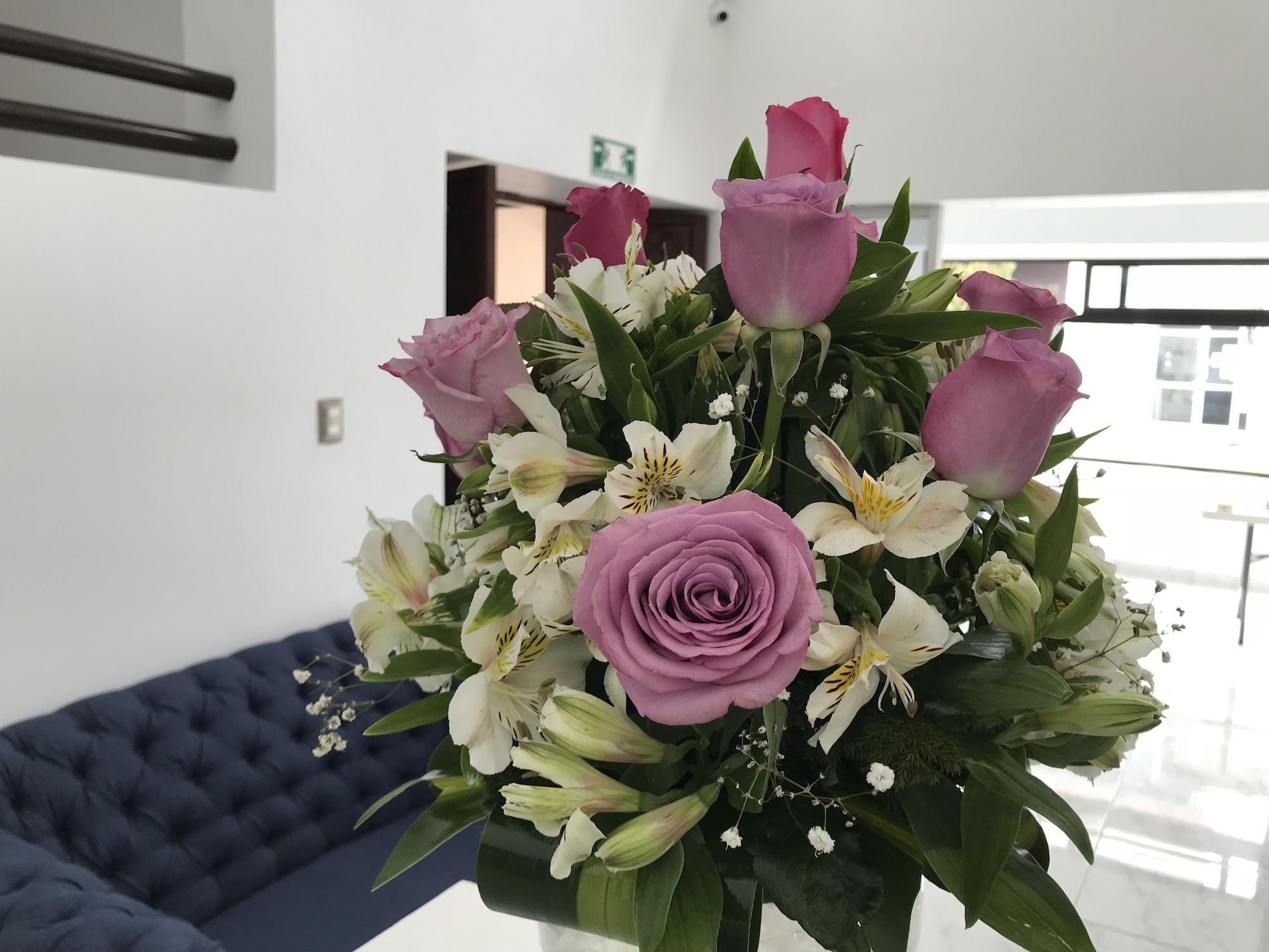 Varios Hotel Plaza Amalia