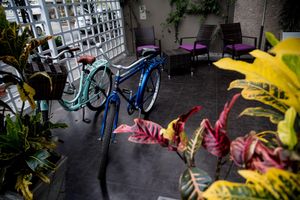 Alojamiento - Andesmar