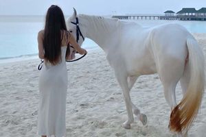 Activity - Horse Riding In Holbox