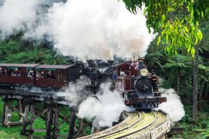 Actividad - Puffing Billy, Santuario de Healesville y Chocolatería