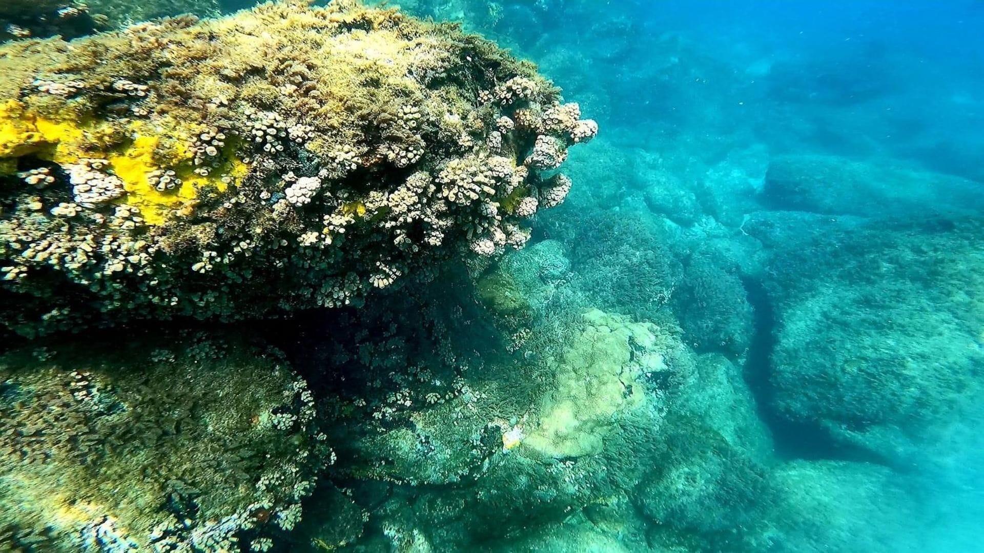 Playa Aquamaster Dive Pousada