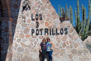 Actividad - Tour desde Guadalajara a la Laguna de Chapala