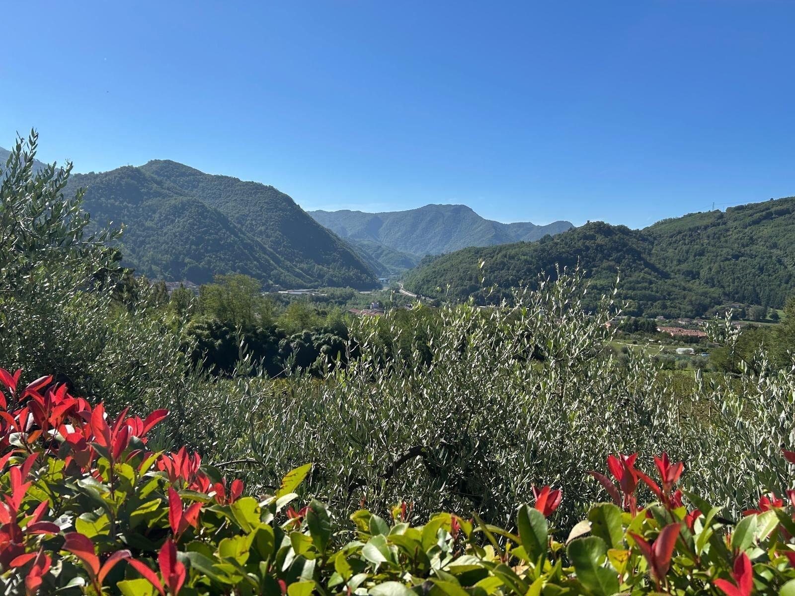 Vista Exterior Agriturismo Tenuta La Fratta