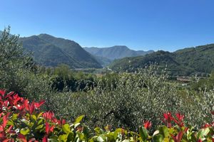 Alojamiento - Agriturismo Tenuta La Fratta