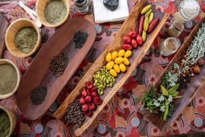Actividad - Dale Tilbrook Experiences with Bush Tucker Talk and Wellbeing