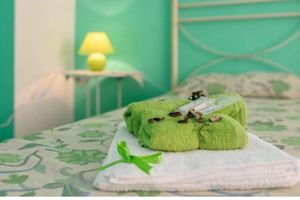 Alojamiento - Dragonfly B&B