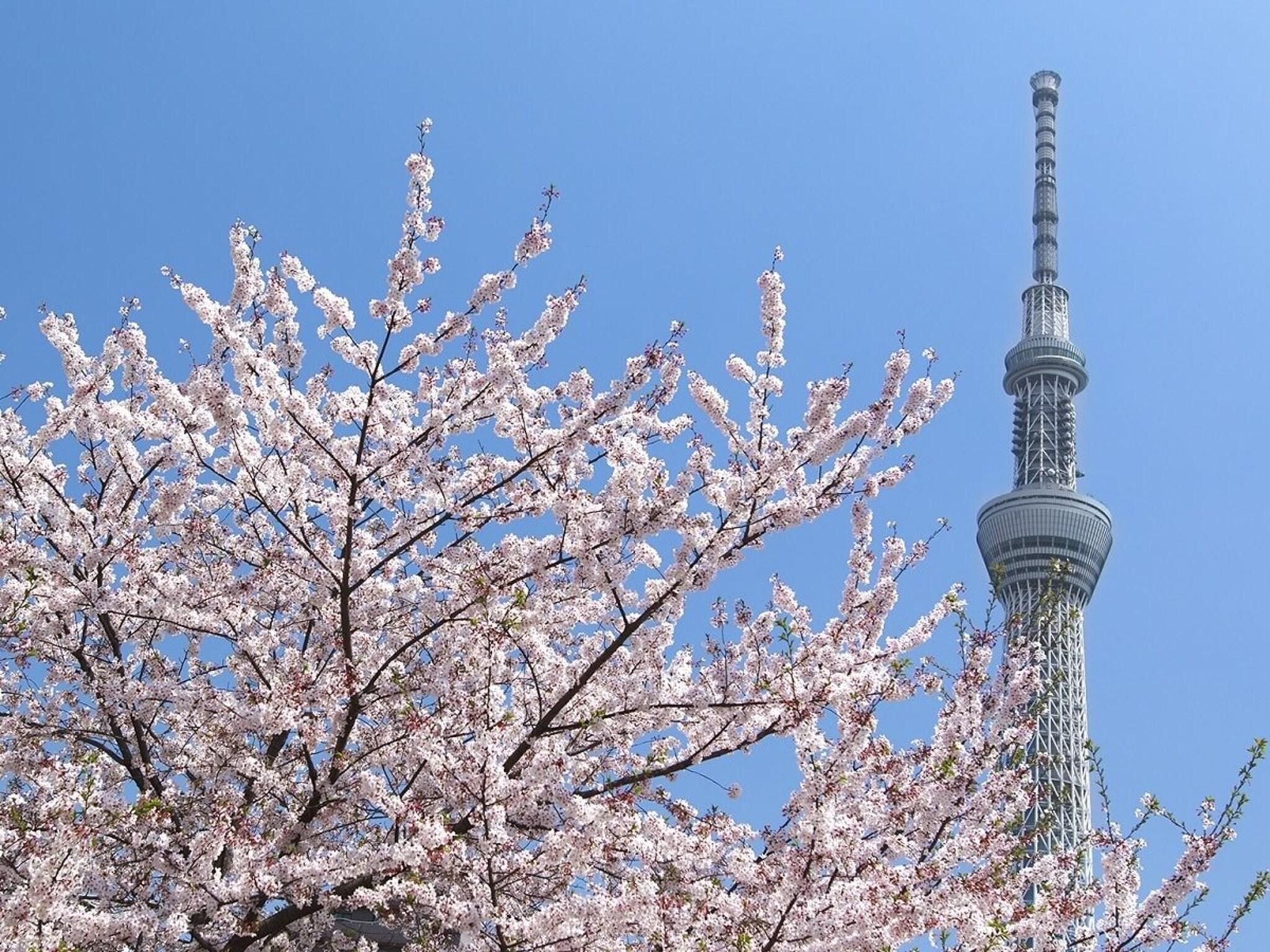 Vista Exterior Sakura Sky Hotel