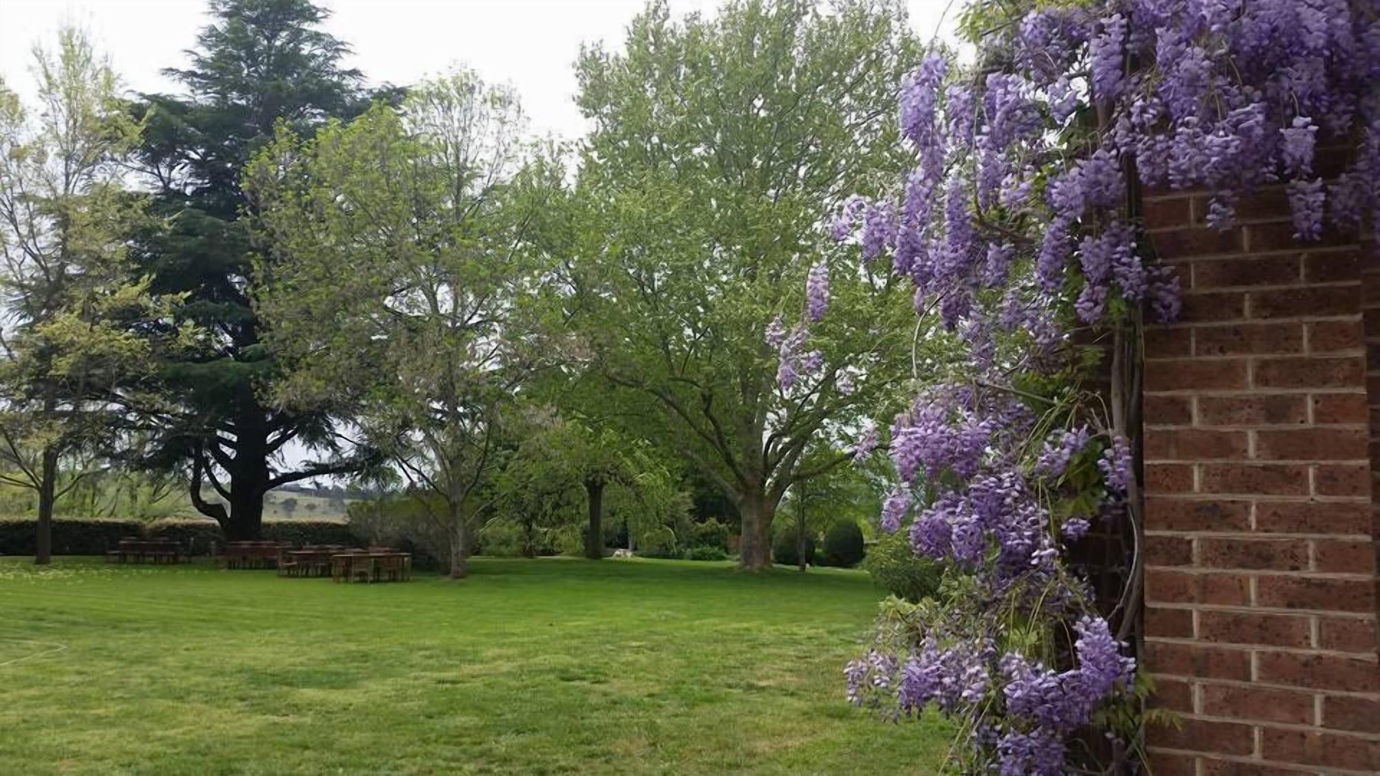 Vista Exterior Petersons Armidale Winery & Guesthouse
