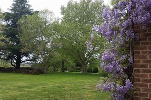 Alojamiento - Petersons Armidale Winery & Guesthouse