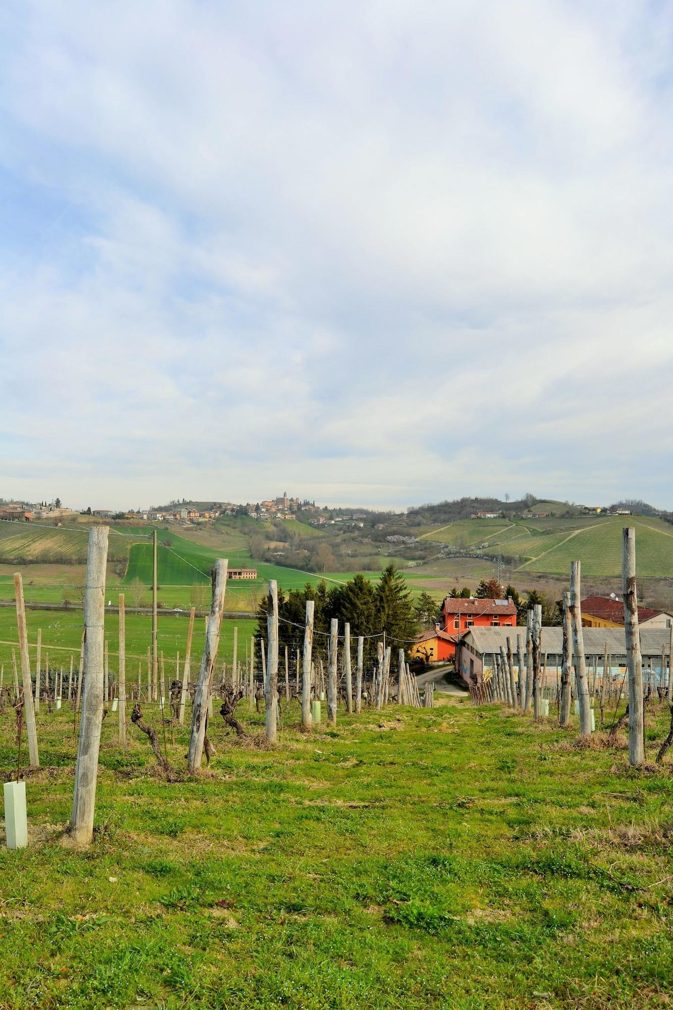 Vista Exterior Agriturismo La Mussia