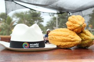 Actividad - LT-Full Day Hacienda Castillo Experiencia Tropical