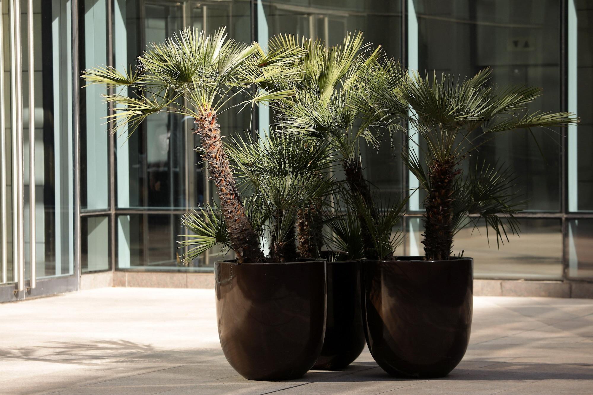 Vista Exterior Park Hyatt Mendoza