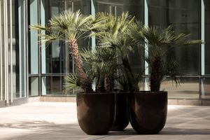 Alojamiento - Park Hyatt Mendoza