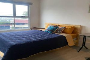 Alquiler Vacacional - Beautiful and Cozy Studio in San Jose