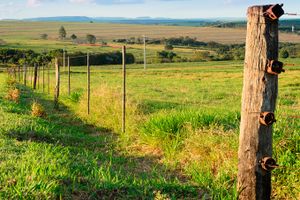 Pacote - Pacotes para Olímpia